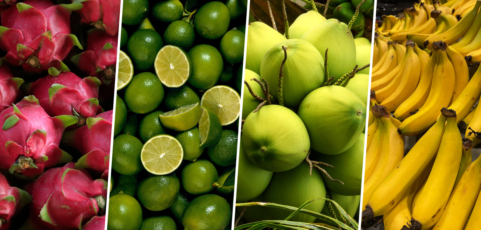 Fresh Fruits From Vietnam